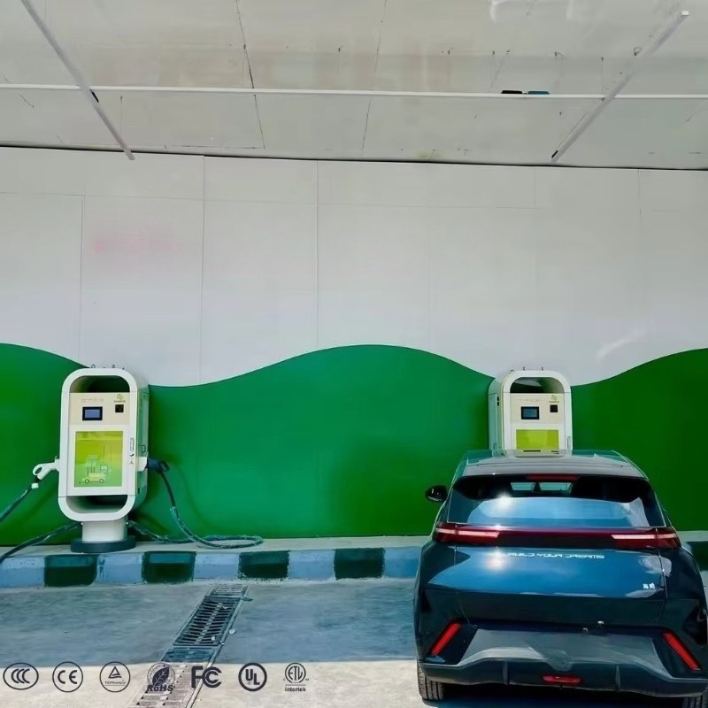 EU Standard EV Charger Fast Ch - Ev Charging Pile 评论和价格